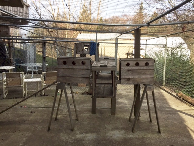 Catio outdoor enclosure