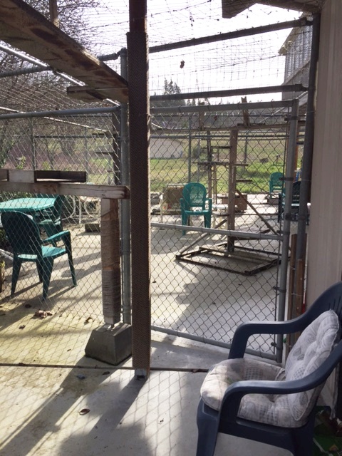 Enclosed catio