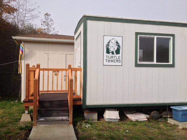 Turtle Towers building