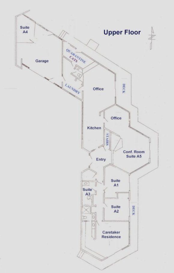 Interior room at Safe Haven prepared as shelter space with storage and supplies