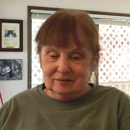 Judi