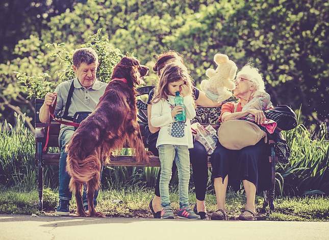Family with a brown dog on a park bench