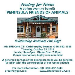 National Cat Day fundraising event poster and display